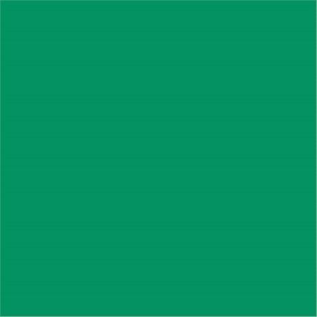 SERVIETTE DOUBLE POINT ECOLABEL 18 G/M² 39X39 CM TISSU VERT NOËL (VENDU PAR 1200)