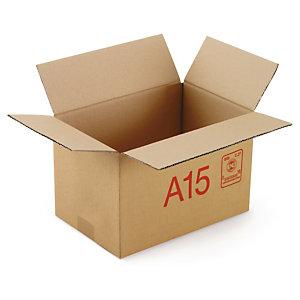 CAISSE CARTON GALIA SIMPLE CANNELURE AVEC RABATS 30X20X20 CM