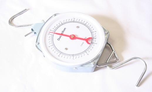 Dynamomètre à cadran - 25 kg, 100 g - boîtier métal laqué avec réglage sur zéro_0