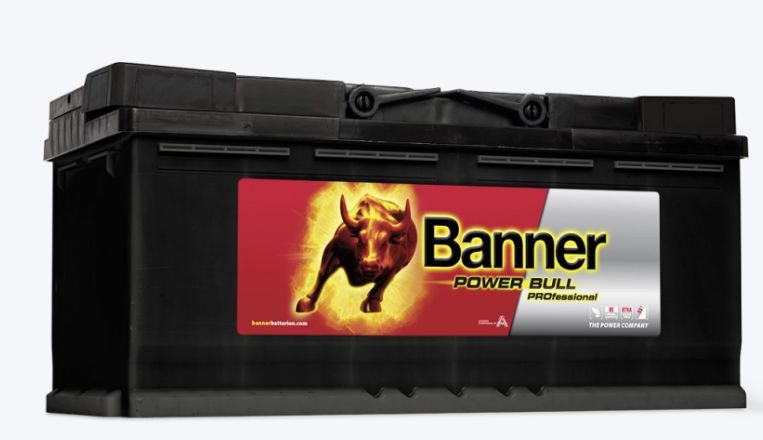 Pro P100 40 - Batterie de démarrage 12V - Banner - Power Bull Professional - Qualité pièces d'origine_0