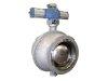 Vanne à secteur sphérique inox CF8M - PN 10 - KVT-KVX_0