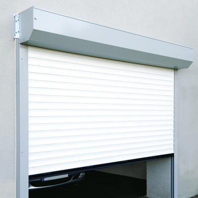 Porte de garage enroulable rollmotion evidence / motorisée / lames en aluminium / 255 x 237.9 cm_1