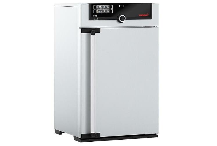 Etuve MEMMERT UF 75 avec convection forcée 300°C_0