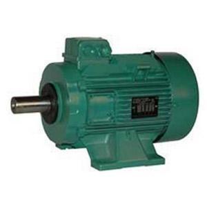 Moteur électrique à pattes LS 132 3/6-XNW – Modèle robuste avec conformité RoHs_0