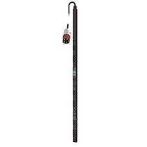 APC NetShelter - Metered Rack PDU 2G - Mesuré - 32A - 11kW - 400V triphasé_0