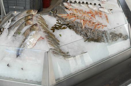 Vitrines réfrigérées pour poissonnerie - étals sur mesure avec cuves en inox chaudronné avec ou sans système frigorifique_0