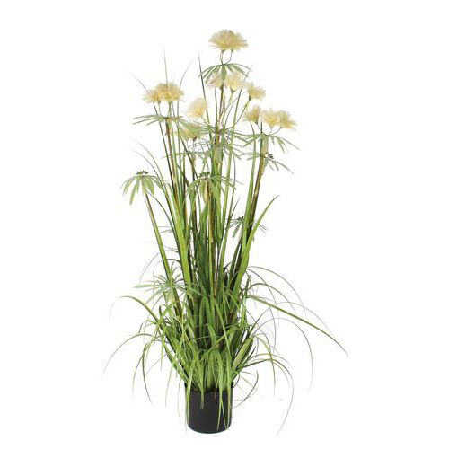 PLANTE HERBE À PANICULE POMPOM VERT HAUTEUR 150CM - VEPABINS