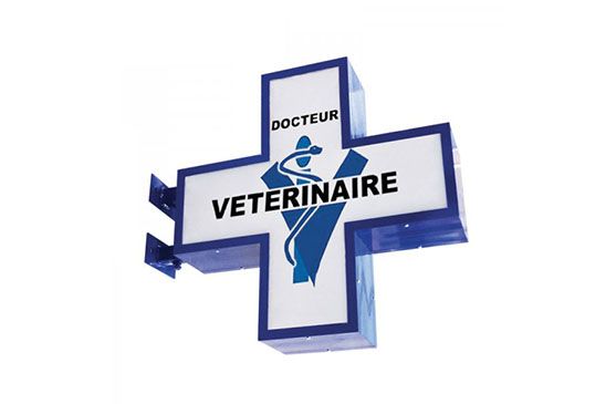 Croix vétérinaire - décograph - avec caducée et personnalisation_0