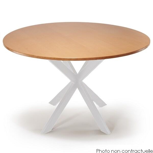 Mottez Pied de table central coloris blanc mat - blanc acier 2770_0