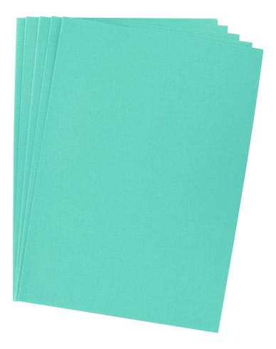 SOUS-CHEMISE STANDARD 80 G BRUNEAU 22 X 31 CM SAPIN - PAQUET DE 100