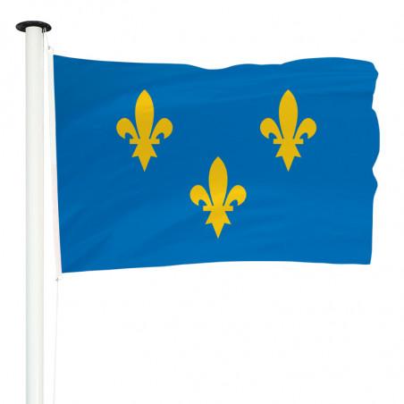 Drapeau Île-de-France pour mât (Province)_0
