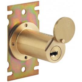 FTH THIRARD CYLINDRE ROND EDF DIAMÈTRE 25 MM LG 45 MM 2 CLÉS POUR SERRURE EDF POUR BAK1033 - MANCHE MER DU NORD