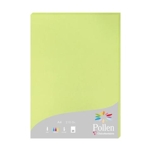 LOT DE 2 - ETUI DE 25 FEUILLES POLLEN 210X297 210G/M2 - VERT BOURGEON