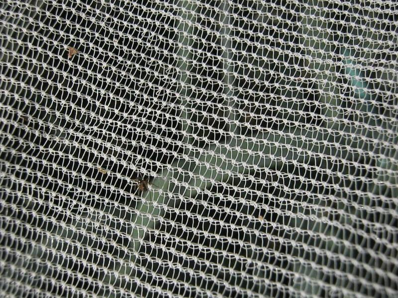 Filet anti-insectes Biotex - 100 m, 4m - Résistant, anti-UV et durable pour cultures maraîchères et fruitières_0