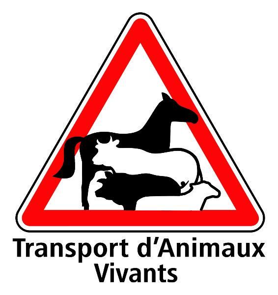 PANNEAU TRANSPORT D'ANIMAUX VIVANT 20 X 20CM