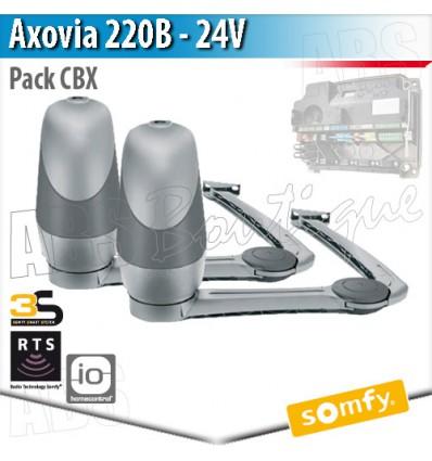 1216405 - Motorisation portail Somfy - Axovia 220B - Pack moteurs complet sans électronique_0