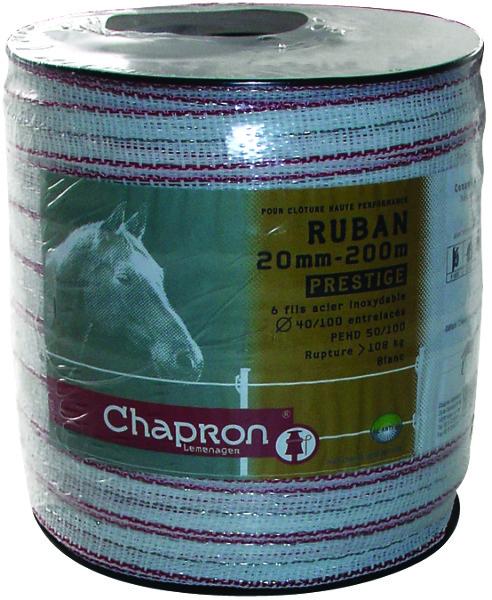 RUBAN PRESTIGE 20MM 6 FILS INOX BLANC 200M