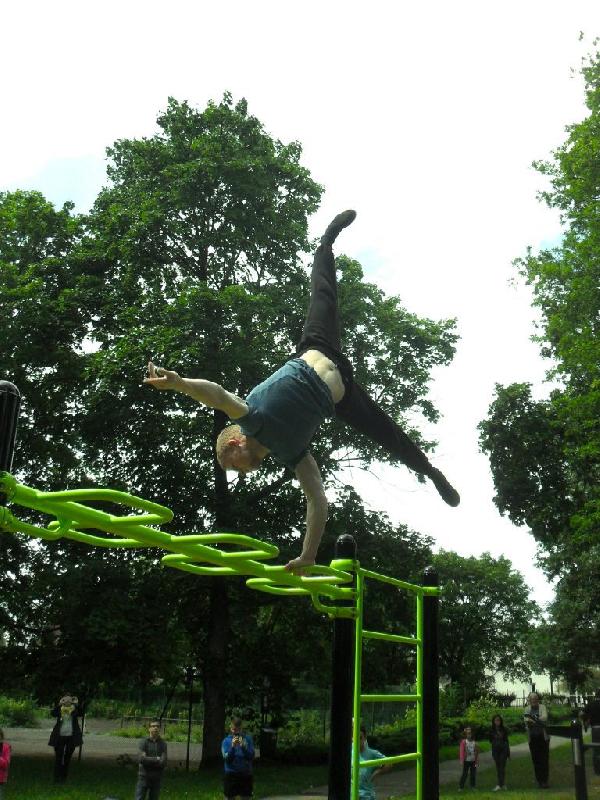 Équipement de Street Workout DAMAPRO en acier galvanisé thermolaqué avec barre réglable jusqu'à 240cm - Snake Barre_0