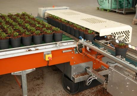 Convoyeur de tri Javo JOR - rapide et efficace pour pots et plateaux - capacité jusqu'à 3000 pots/heure_0