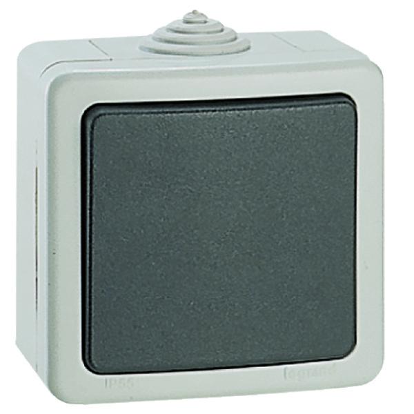 BOUTON POUSSOIR 2A PLEXO GRIS LEGRAND