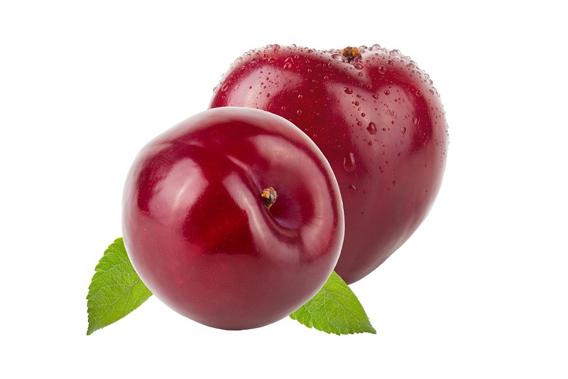 Bois de fumage prunier - fumée fruitée et sucrée - idéal viandes et poissons_0