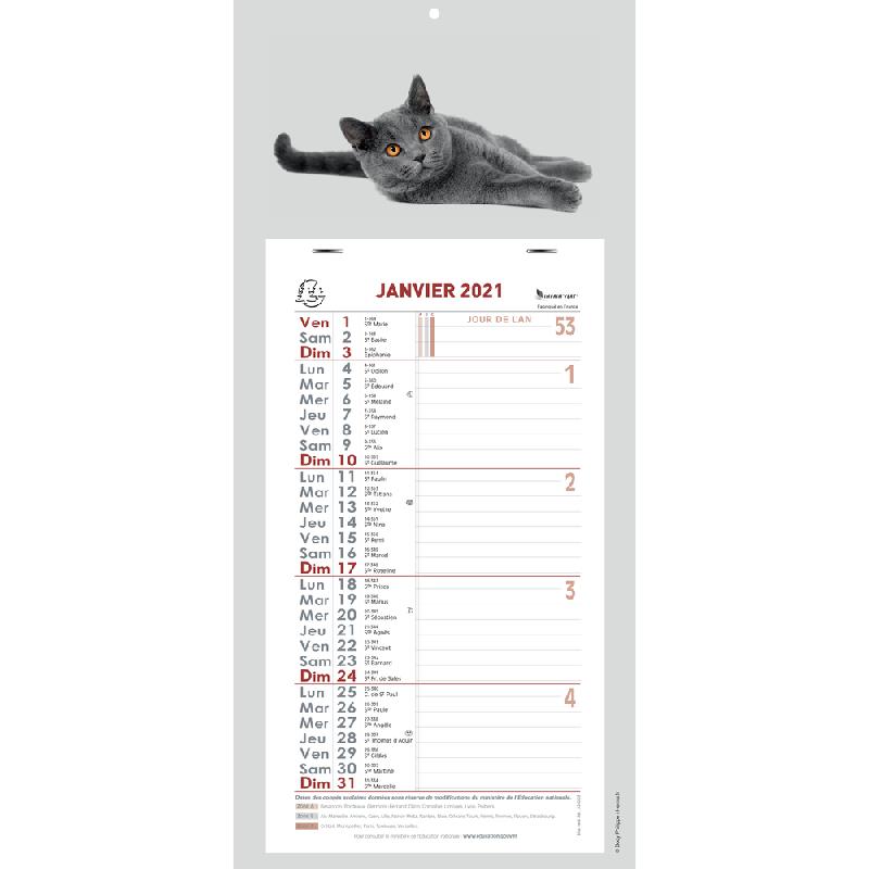 Calendrier Mensuel Animaux 15 5 X 28 5 Cm Agrafe Sur Plaque Cartonnee Imprimee 19 X 41 Cm 2021 Visuel Lot De 10 Comparer Les Prix De Calendrier Mensuel Animaux 15 5 calendrier 2021 mensuel sur plaque