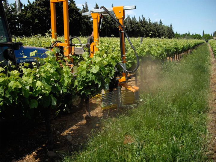 SRB 22-500 - Épampreuse mécanique Provitis - hauteur d'épamprage 495 mm - têtes d'épamprage avec lanières semi-rigides_1