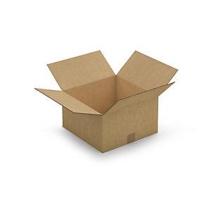CAISSE CARTON BRUNE DOUBLE CANNELURE RAJA 35X35X20 CM