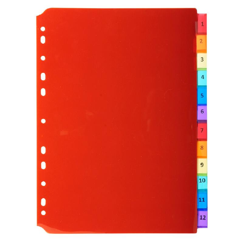 Exacompta Lot de 10 Intercalaires 12 positions, format A4, polypro translucide, coloris assortis - matière synthétique 3912E_0