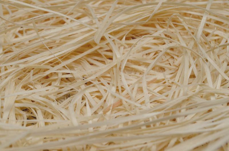 Fibre de Bois - 441531_0