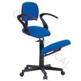 CHAISE ERGONOMIQUE ECOPOSTURAL S2603