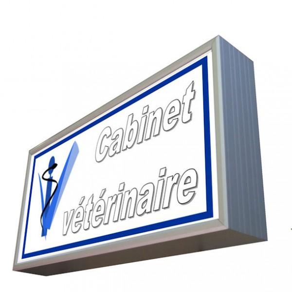 Caisson lumineux drapeau laqué H 600 mm - finition laquée - marque Rolléco_0