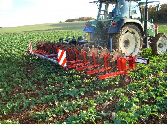 Bineuse agricole 8 rangs - équipement maïs 60 à 80cm - largeur 6,70m - Quivogne_0