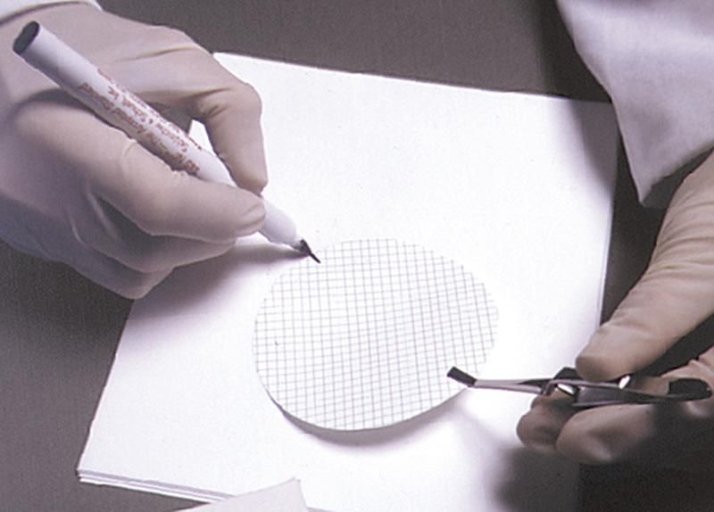 Marqueurs au xylène pour membrane de blotting