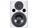 MONITEURS DE STUDIO FOSTEX PM05 WHITE MKII _0