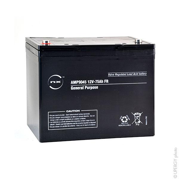 BATTERIE PLOMB AGM NX 75-12 GENERAL PURPOSE FR 12V 75AH M6-F_0