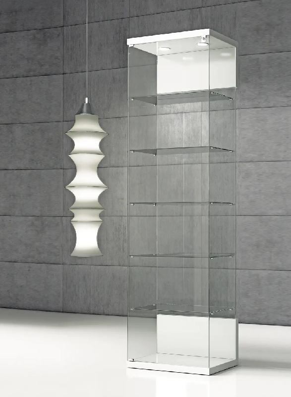 Vitrine en verre ve60va_0