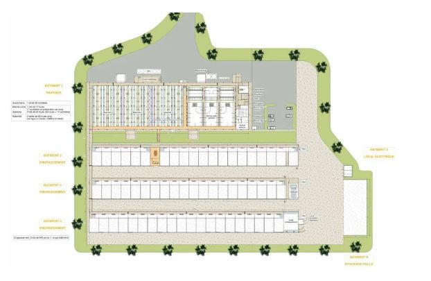 Bâtiment pour élevage porcin - FARM-TEK_0