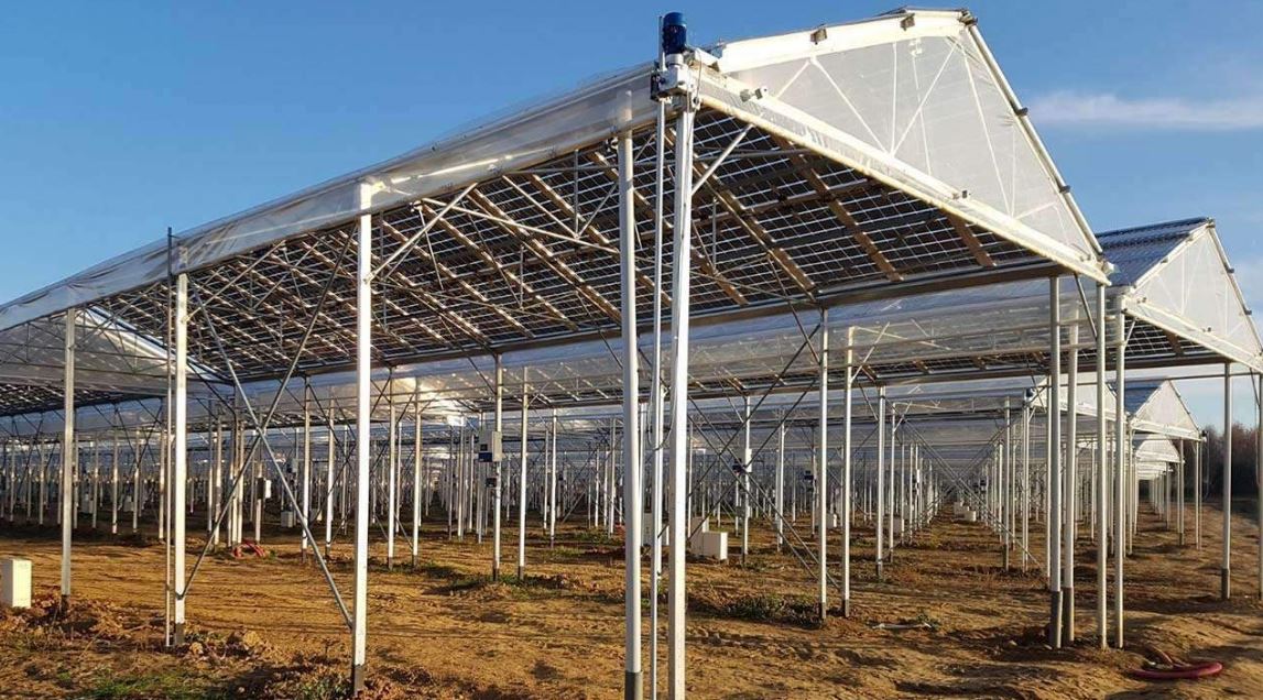 Serre photovoltaïque à faîtage droit et double pente - Multisunart_0