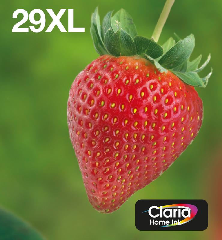 Epson Strawberry Multipack EasyMail