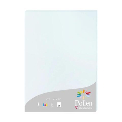 LOT DE 2 - ETUI DE 25 FEUILLES POLLEN 210X297 210G/M2 - BLEU