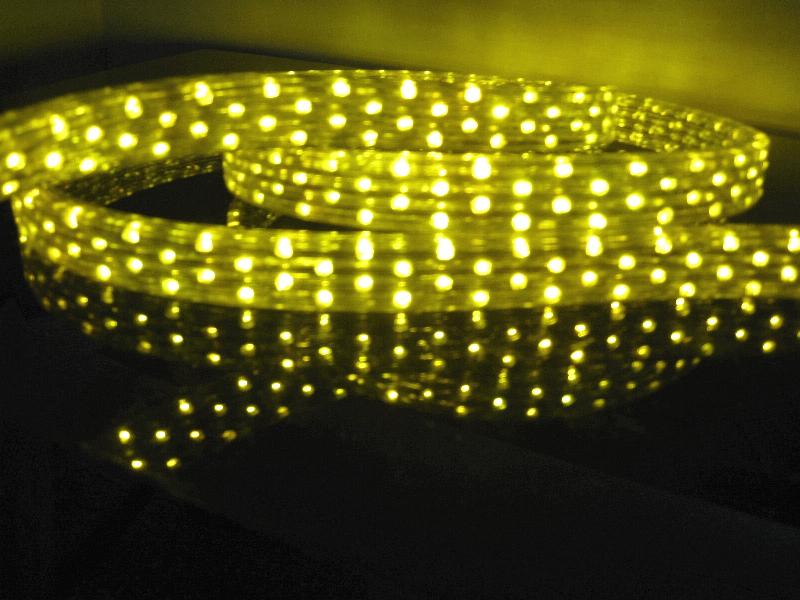 Ruban LED - Tube lumineux 144 LED/m - 5 rangées - Plat - Waterproof - Multicolore_0