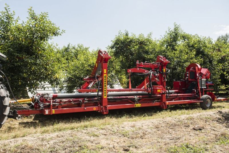 Maja Automatic LK - Vibreur d'arbre fruitier Weremczuk - Efficacité 0,08-0,15 ha/h - Récolte optimisée pour cerises, prunes et olives_0