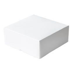 Boite Carrée Blanche pour Patisserie - 29x29x5 cm - par 50 - blanc en carton 3760394093985_0