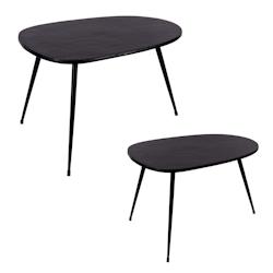 Set de 2 tables basses Organic noir -  Autre Métal Table Passion 70x47 cm - noir 3106239540823_0