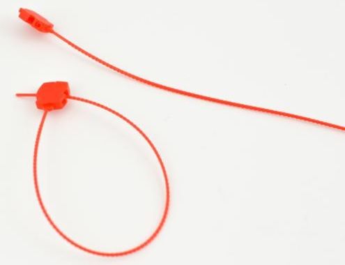 Scellé plastoscellé - plastique à tige - 172 mm - résistant aux UV - normes RoHS_0