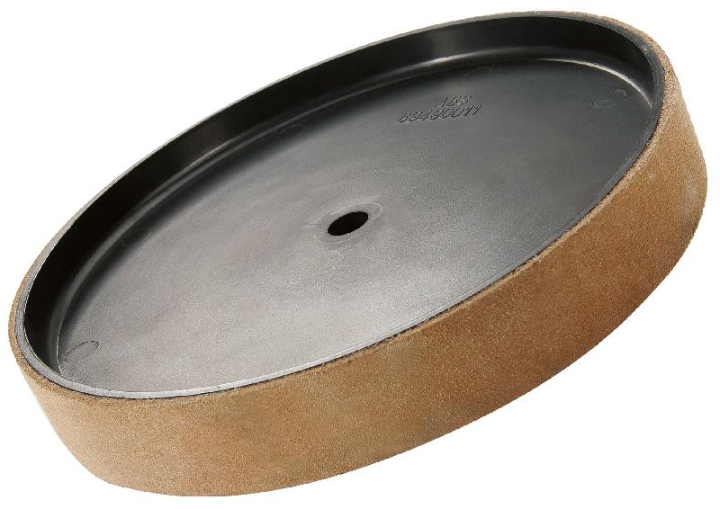 DISQUE DE DÉMORFILAGE 220MM POUR NTS255 HOLZKRAFT 5760001