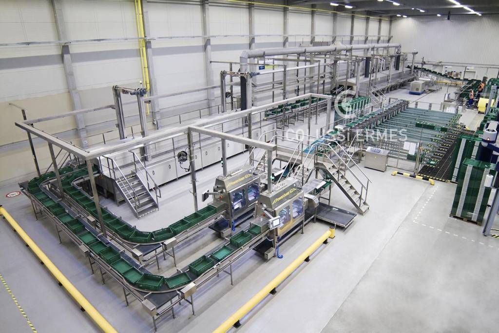 Laveuse industrielle alimentaire - Lavage caisses Colussi Ermes - 10 000 caisses/heure_0