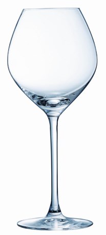 VERRE À PIED MAGNIFIQUE 25 CL (VENDU PAR 6)