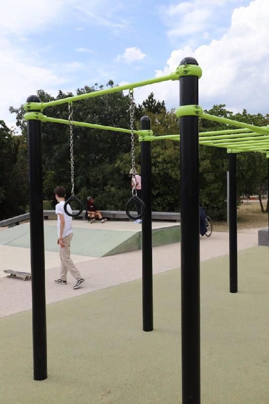 Barre anneaux / TRX - Gamme Street Workout DAMAPRO_1